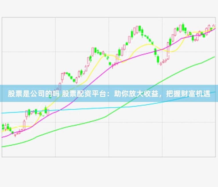 股票是公司的吗 股票配资平台：助你放大收益，把握财富机遇