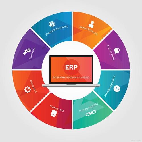 现在,国内主流的erp软件供应商和实施者都擅长制作内容和形式华丽的